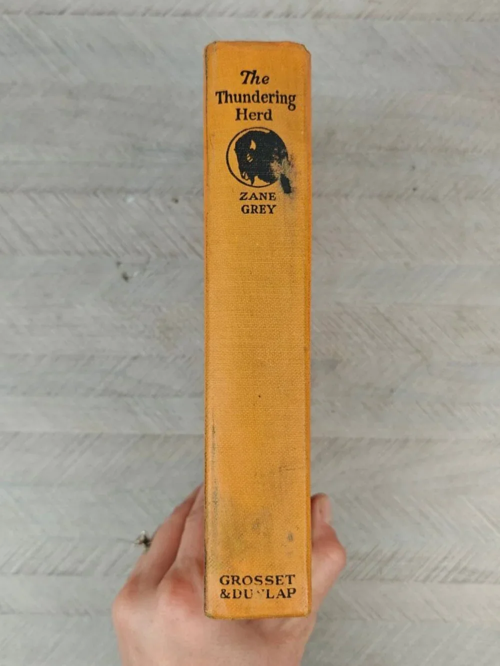 The Thundering Herd Zane Grey 1925 Hardcover Western Fiction Antique